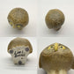 グスタフスベリ GUSTAVSBERG K-Studion リサ・ラーソン Lisa Larson フクロウ OWL S 現行品 定価22000円 ★