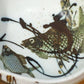 ロイヤルコペンハーゲン ROYAL COPENHAGEN ダイアナ Diana ボウル 12cm 魚 ニルス・トーソン デンマーク 北欧ビンテージ ◎