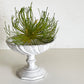 アスティエ・ド・ヴィラット Astier de Villatte ピン パン ポン Pim Pam Poum パン Pam スタンド コンポート W10.5cm トレイ 陶器 フランス ■