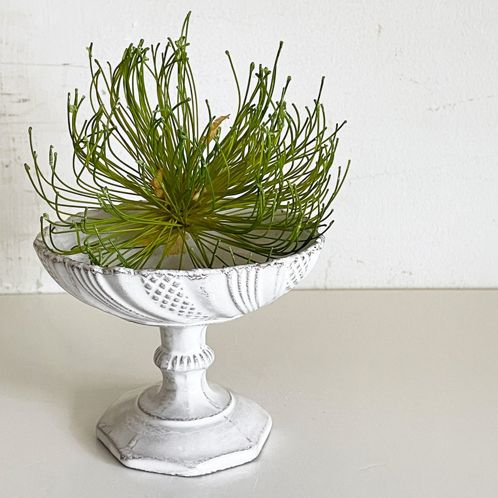 アスティエ・ド・ヴィラット Astier de Villatte ピン パン ポン Pim Pam Poum パン Pam スタンド コンポート W10.5cm トレイ 陶器 フランス ■