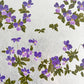 楚里勇己 Yuuki Sori スミレハナ P6号 銀箔 岩絵具 典具帖紙 神郷紙 アクリル額装品 52×38cm 日本画家 〓