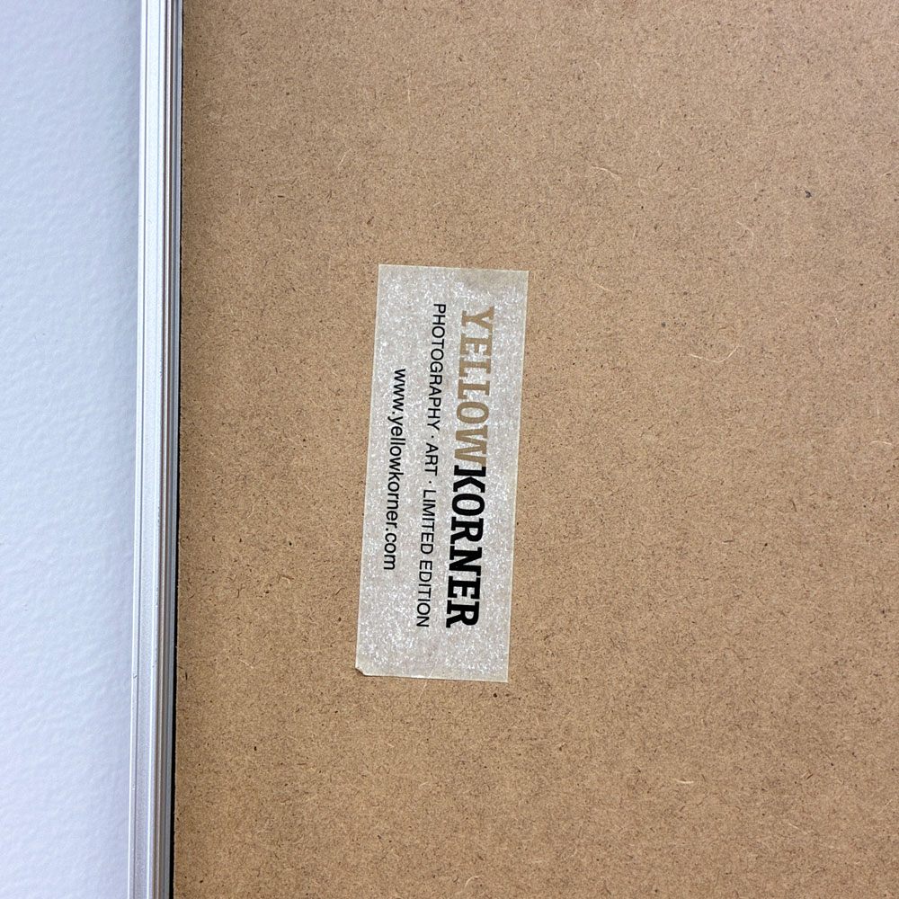イエローコーナー YellowKorner アートフォト KATE MOSS LONDRES 2013 額装品 ◎