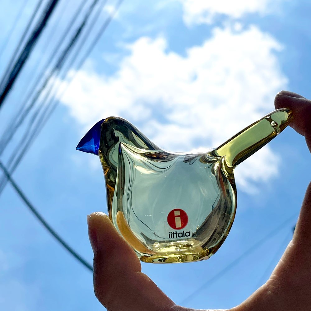 イッタラ iittala イッタラバード シエッポ Sieppo レモン×ブルー 160/300 オイバ・トイッカ Oiva Toikka 表参道店限定 箱付 希少 ■