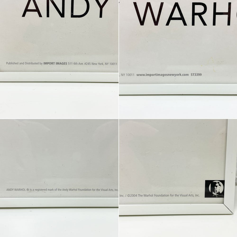 IMPORT IMAGES アンディ・ウォーホル Andy Warhol ダラーサイン Dollar Sign ポスター 61.5×92cm 額装品 ポップアート 現代美術 ●