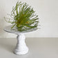 アスティエ・ド・ヴィラット Astier de Villatte レリジュ Religieuse ディッシュスタンド コンポート W12cm 陶器 フランス ■