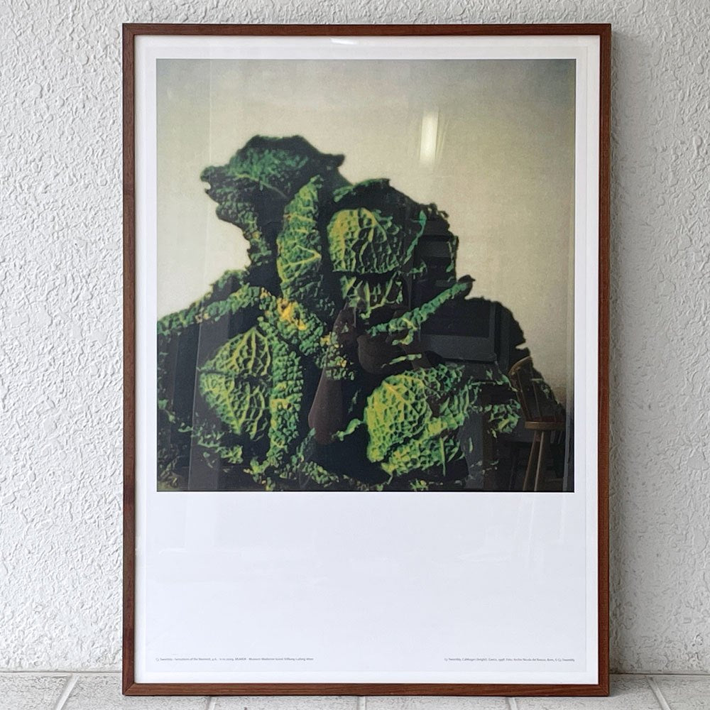 サイ・トゥオンブリー Cy Twombly キャベツ Cabbages 展覧会 SENSATIONS OF THE MOMENT 2009 オフセットリトグラフ ポスター 額装品 ◇