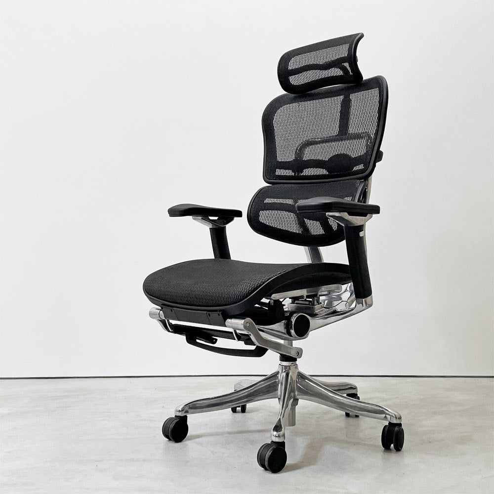 エルゴヒューマン Ergohuman エルゴヒューマンチェアプロ EHPーLPL KM-11 デスクチェア 収納式オットマン エラストメリック・メッシュ アルミダイキャスト ●