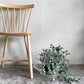 ザ・コンランショップ THE CONRAN SHOP フラワーベース 花瓶 金魚鉢 ガラスベース モダンデザイン ■