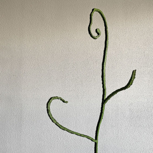 クラフトアート アイアン製 オブジェ コートスタンド グリーンペイント H242cm 店舗什器 〓