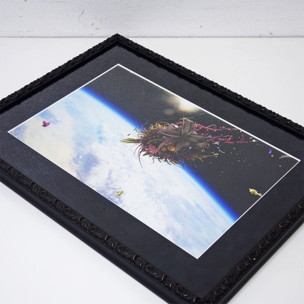 AMKK 東信 花樹研究所 EXOBIOTANICA オリジナルプリント BOUQUET #5988 2014年 証明書付き 額装品 BOTANICAL SPACE FLIGHT ●
