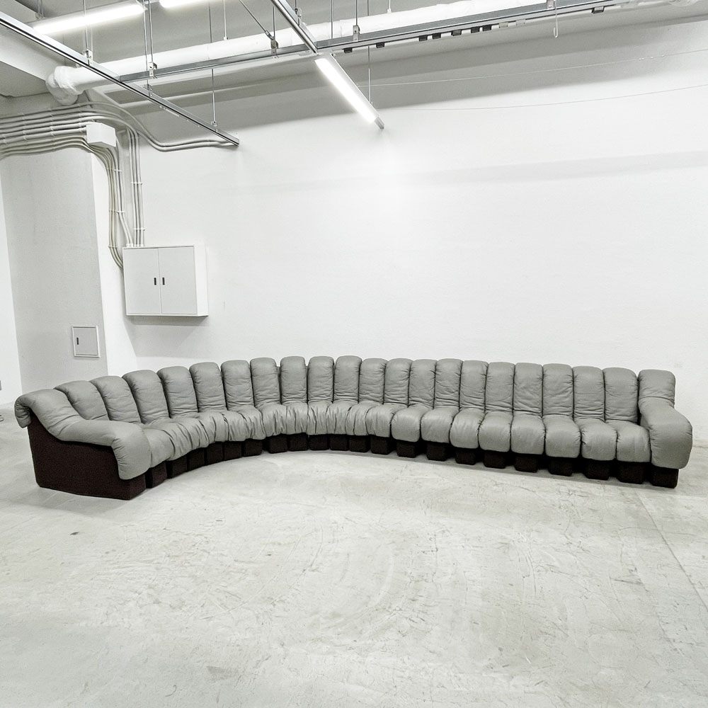 デセデ de Sede DS-600 スネークソファ Snake Sofa 22ピース 本革 ウル・ベルガー Ueli Berger スイスビンテージ モビリア mobilia取り扱い 〓