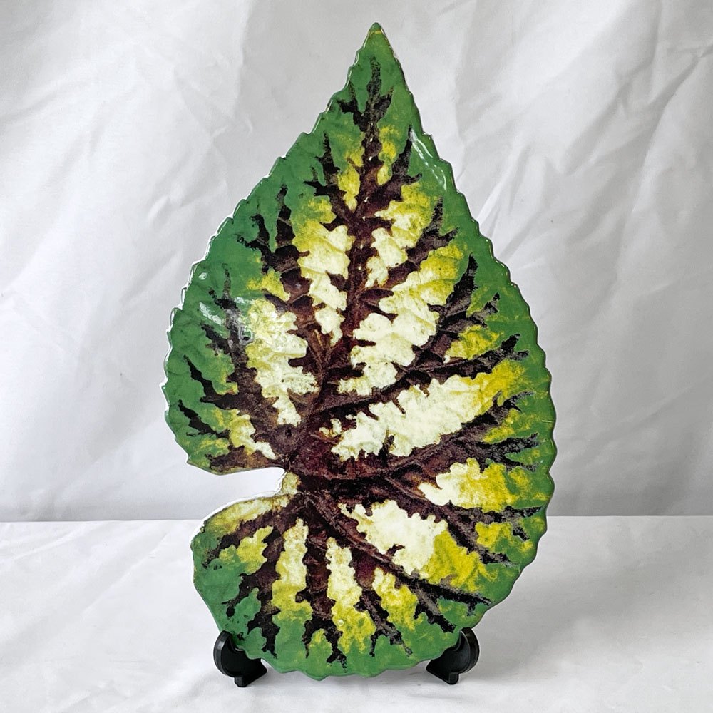 アスティエ・ド・ヴィラット Astier de Villatte ジョン・デリアン John Derian トロピカルリーフ リーフプラッター W28.5cm フランス ◇