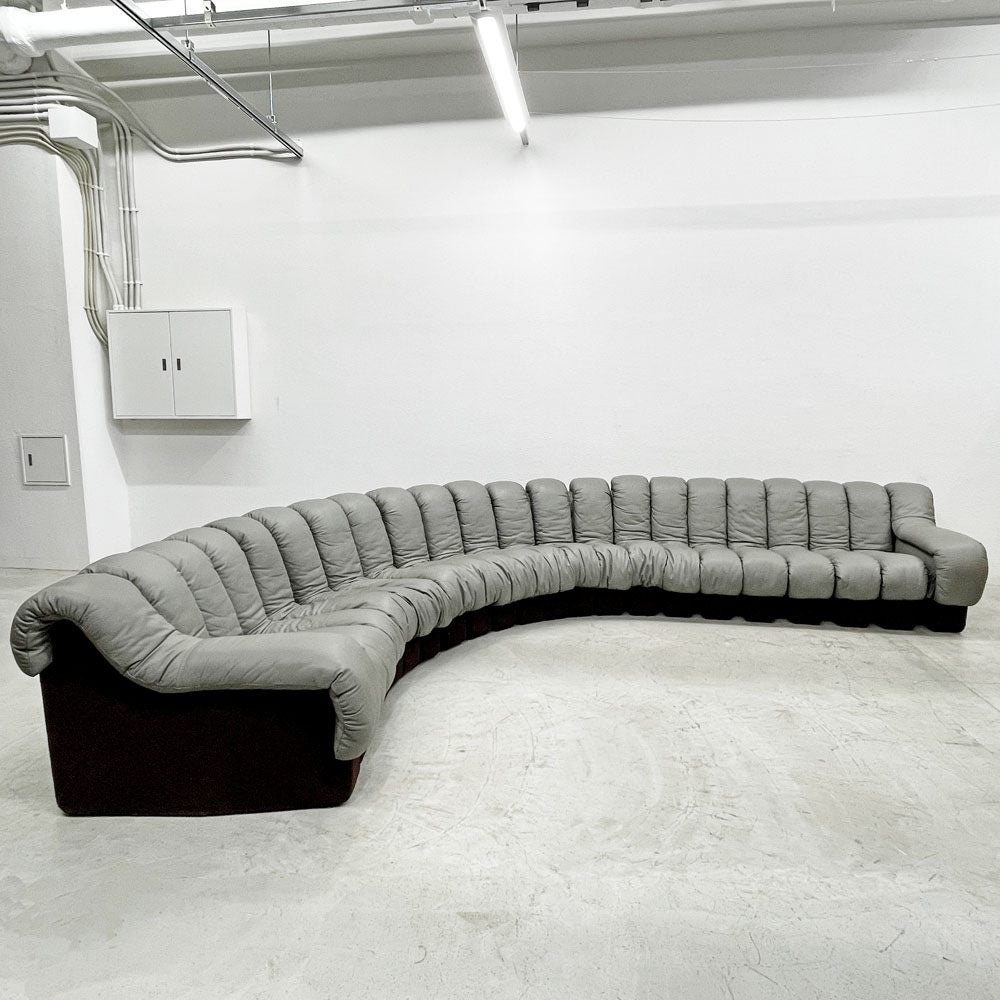デセデ de Sede DS-600 スネークソファ Snake Sofa 22ピース 本革 ウル・ベルガー Ueli Berger スイスビンテージ モビリア mobilia取り扱い 〓
