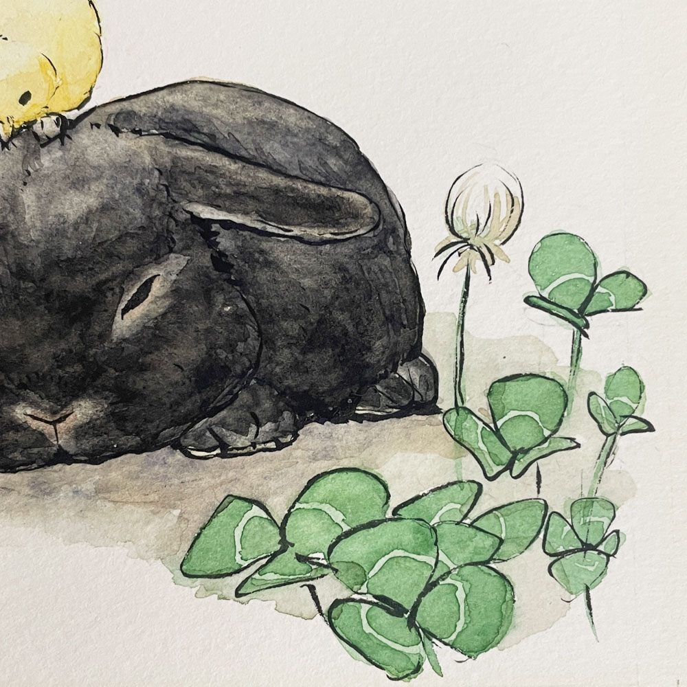 はるき堂 水彩画 黒ウサギとひよこ 27×22cm 額装品 赤崎晴樹 ◎